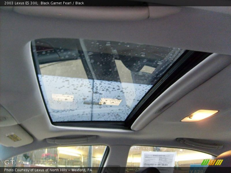 Black Garnet Pearl / Black 2003 Lexus ES 300