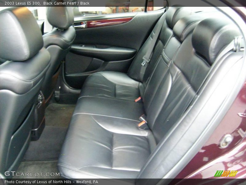 Black Garnet Pearl / Black 2003 Lexus ES 300
