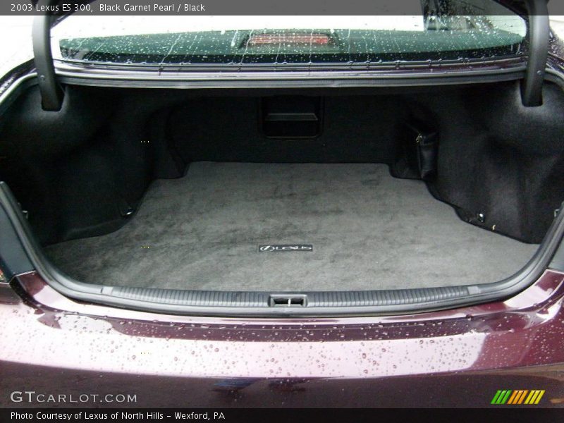 Black Garnet Pearl / Black 2003 Lexus ES 300