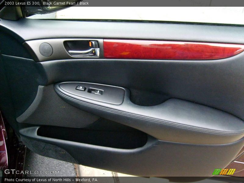 Black Garnet Pearl / Black 2003 Lexus ES 300