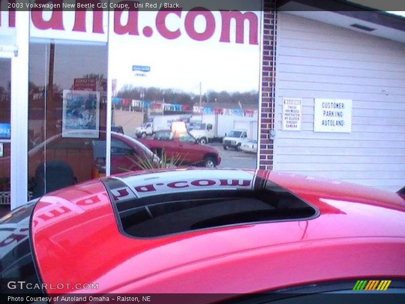Uni Red / Black 2003 Volkswagen New Beetle GLS Coupe