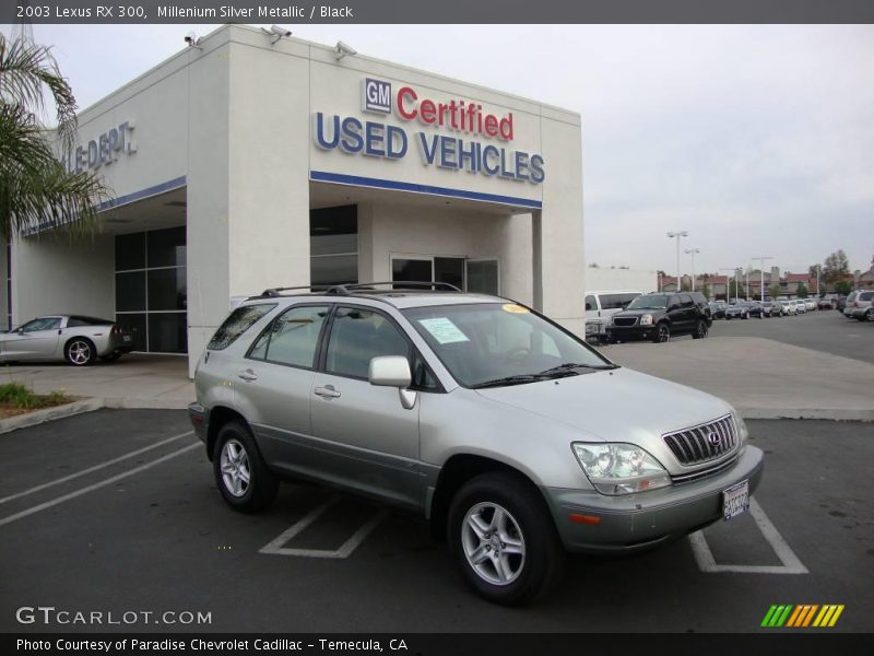 Millenium Silver Metallic / Black 2003 Lexus RX 300