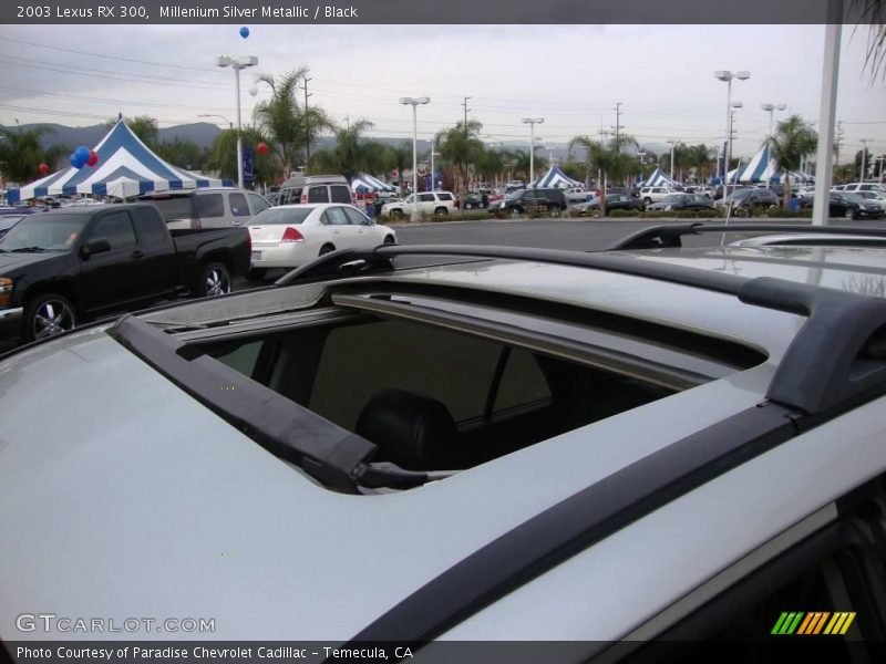 Millenium Silver Metallic / Black 2003 Lexus RX 300