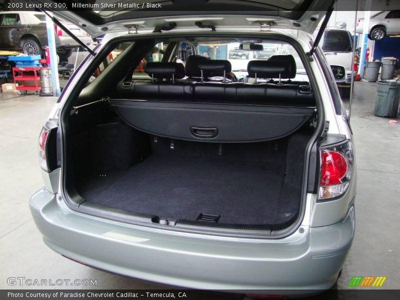 Millenium Silver Metallic / Black 2003 Lexus RX 300