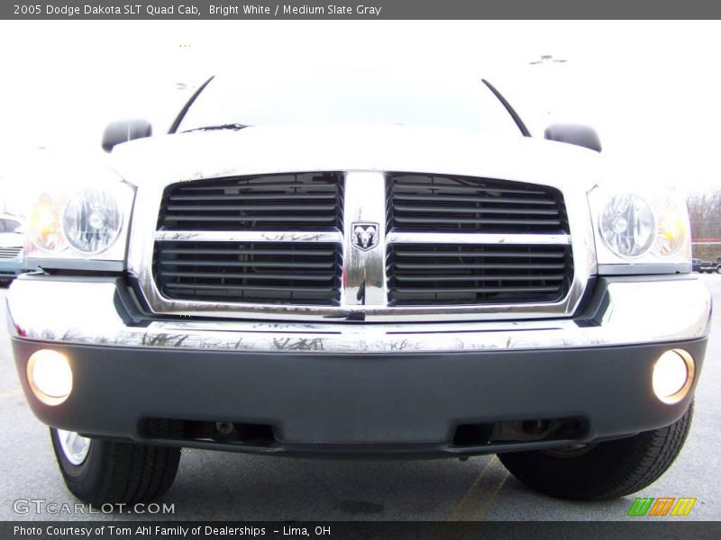 Bright White / Medium Slate Gray 2005 Dodge Dakota SLT Quad Cab