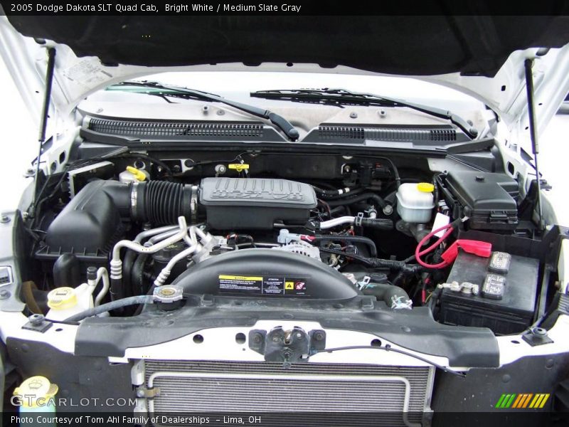 Bright White / Medium Slate Gray 2005 Dodge Dakota SLT Quad Cab