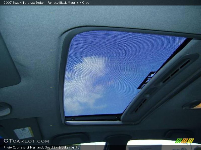 Fantasy Black Metallic / Grey 2007 Suzuki Forenza Sedan
