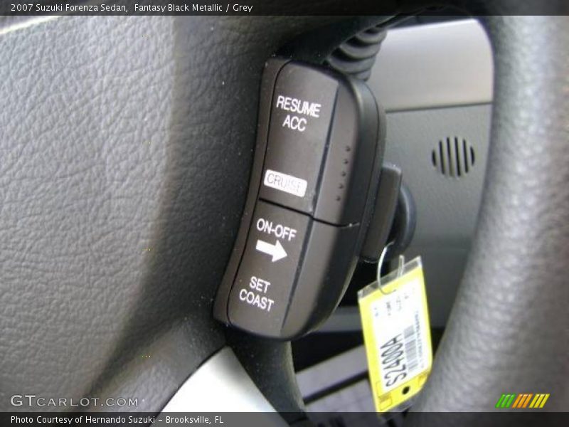 Fantasy Black Metallic / Grey 2007 Suzuki Forenza Sedan