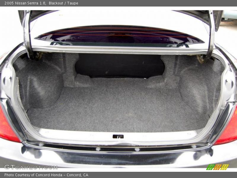 Blackout / Taupe 2005 Nissan Sentra 1.8