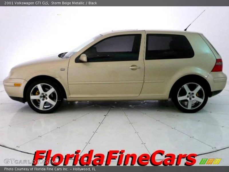 Storm Beige Metallic / Black 2001 Volkswagen GTI GLS