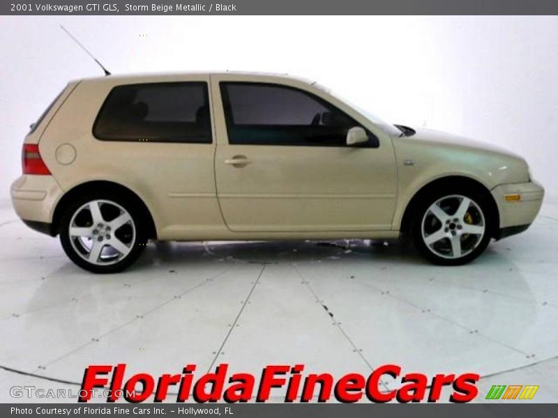 Storm Beige Metallic / Black 2001 Volkswagen GTI GLS