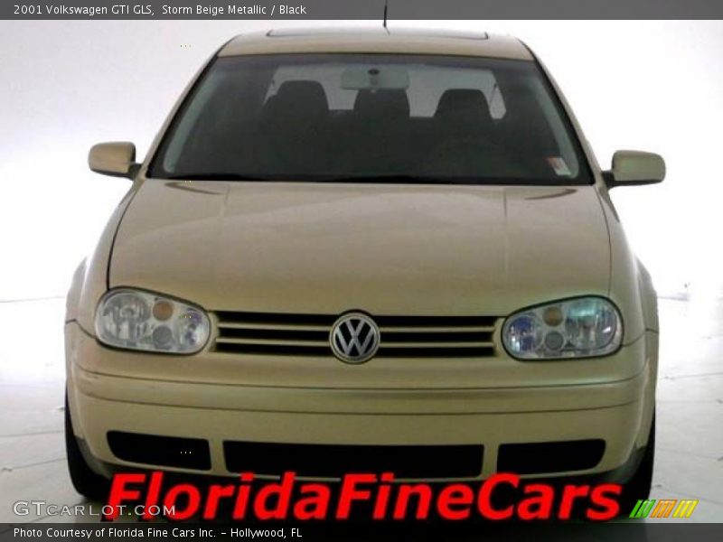 Storm Beige Metallic / Black 2001 Volkswagen GTI GLS