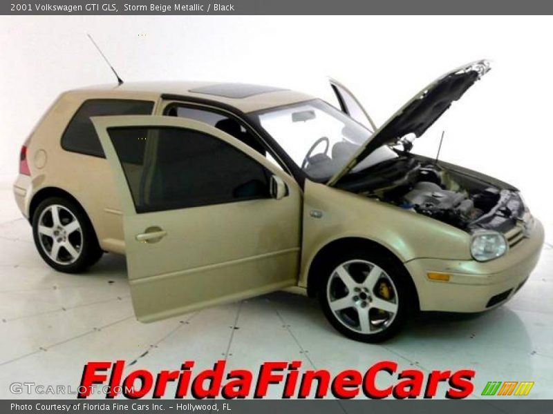 Storm Beige Metallic / Black 2001 Volkswagen GTI GLS
