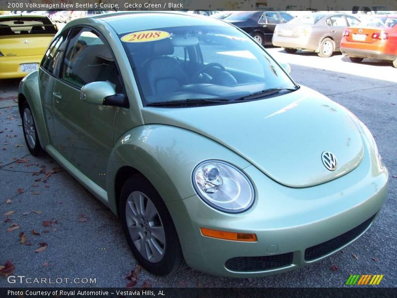Gecko Green / Black 2008 Volkswagen New Beetle S Coupe