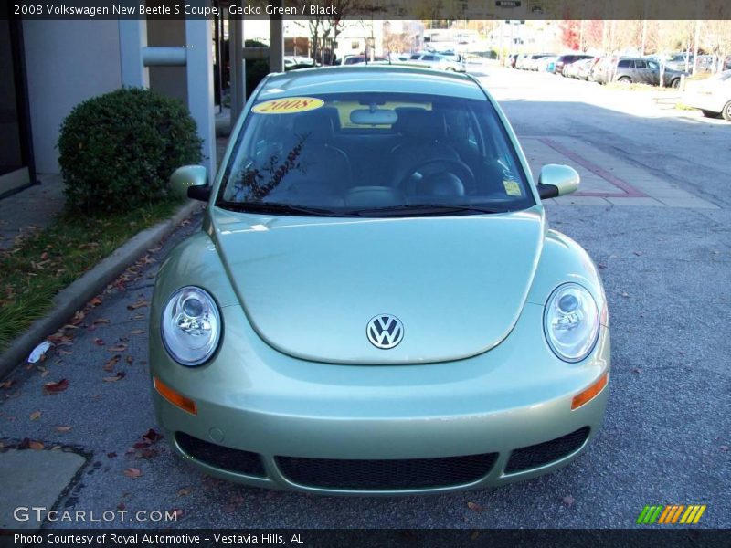 Gecko Green / Black 2008 Volkswagen New Beetle S Coupe