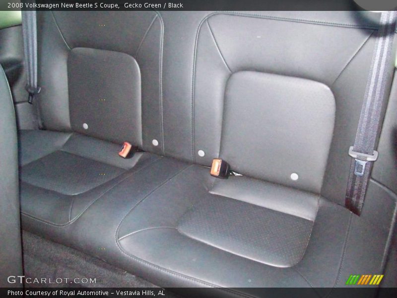 Gecko Green / Black 2008 Volkswagen New Beetle S Coupe