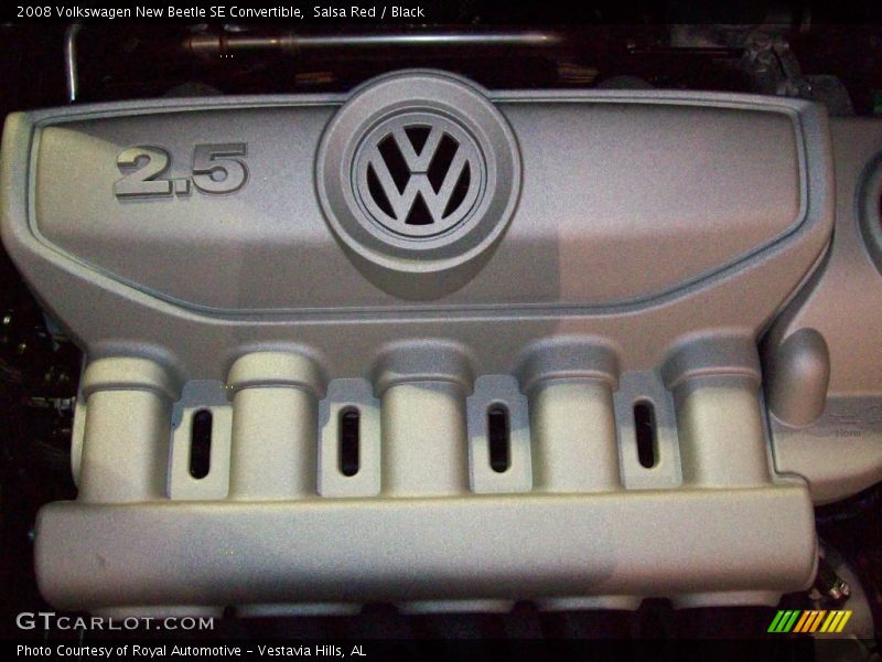 Salsa Red / Black 2008 Volkswagen New Beetle SE Convertible