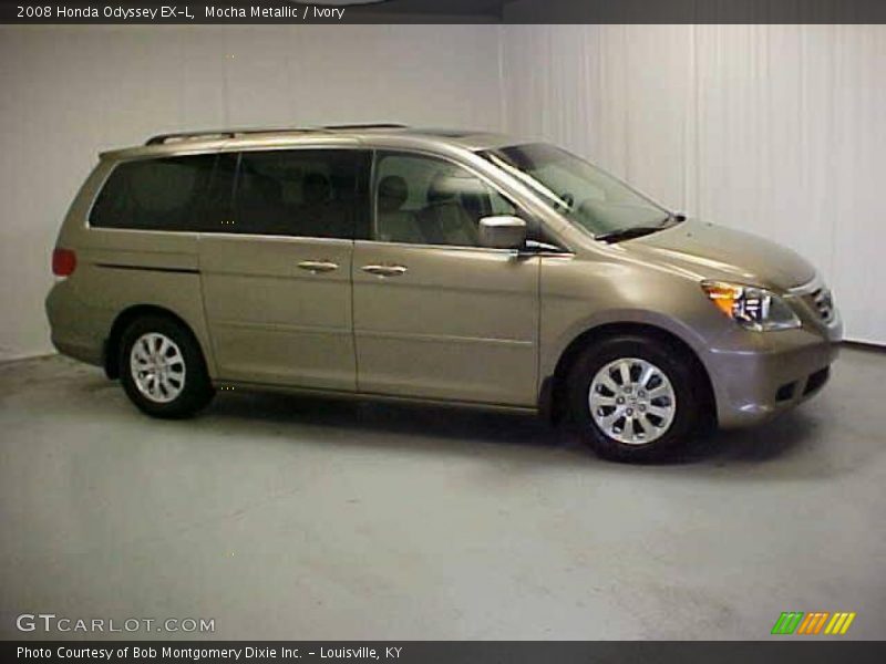 Mocha Metallic / Ivory 2008 Honda Odyssey EX-L