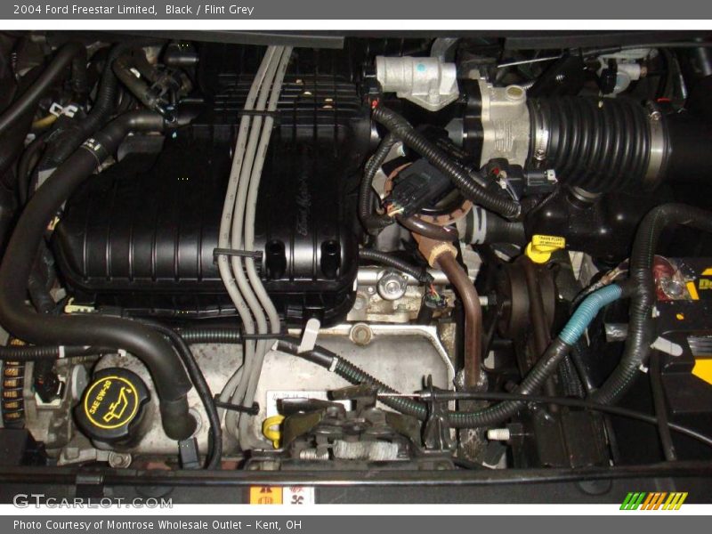 Black / Flint Grey 2004 Ford Freestar Limited
