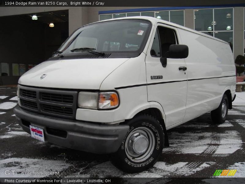 Bright White / Gray 1994 Dodge Ram Van B250 Cargo