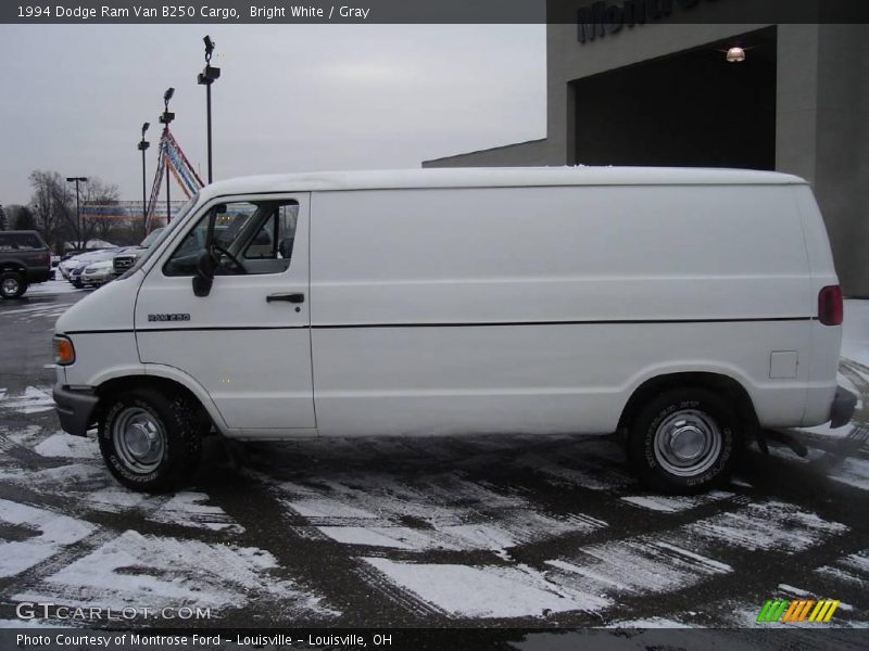Bright White / Gray 1994 Dodge Ram Van B250 Cargo