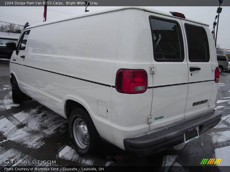 Bright White / Gray 1994 Dodge Ram Van B250 Cargo