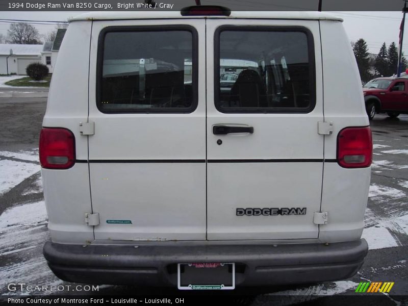 Bright White / Gray 1994 Dodge Ram Van B250 Cargo
