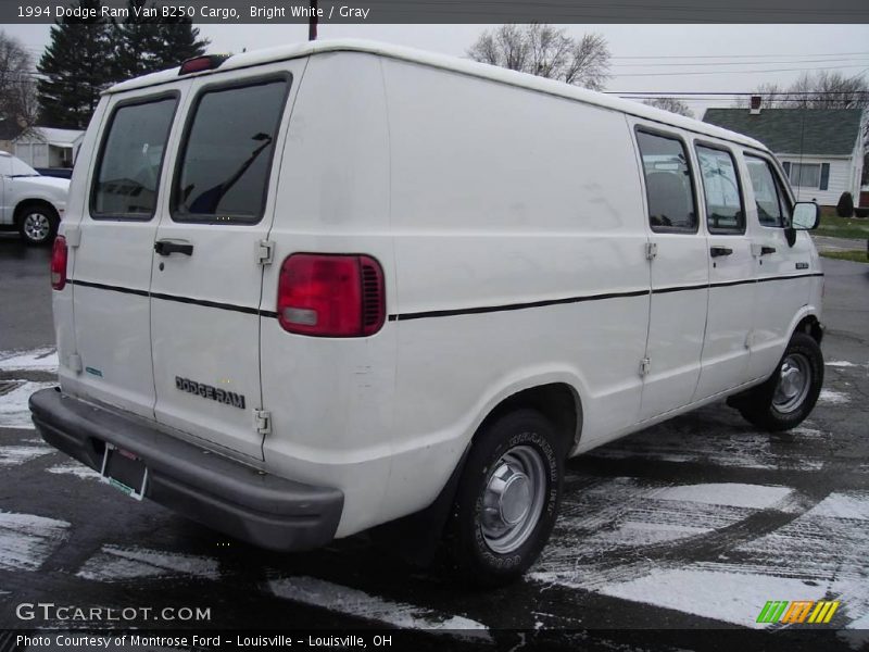 Bright White / Gray 1994 Dodge Ram Van B250 Cargo