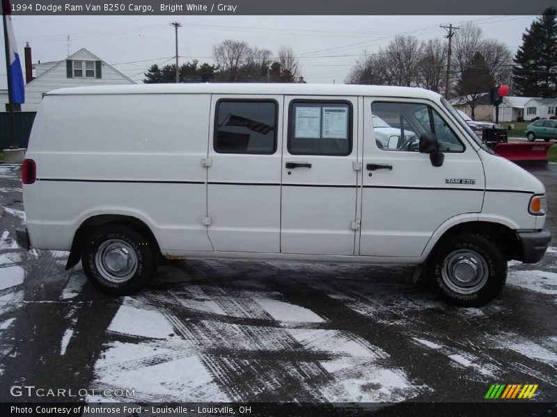 Bright White / Gray 1994 Dodge Ram Van B250 Cargo