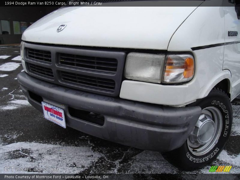 Bright White / Gray 1994 Dodge Ram Van B250 Cargo