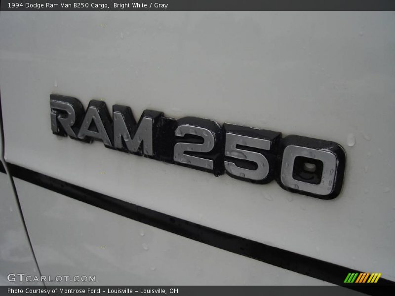 Bright White / Gray 1994 Dodge Ram Van B250 Cargo
