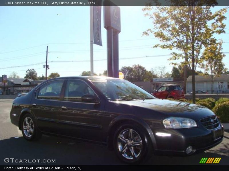 Gray Lustre Metallic / Black 2001 Nissan Maxima GLE