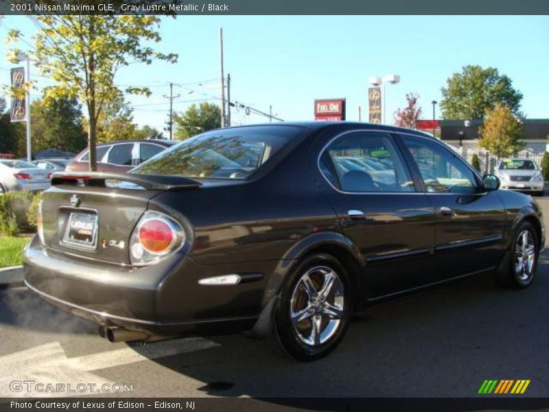 Gray Lustre Metallic / Black 2001 Nissan Maxima GLE