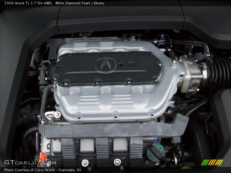White Diamond Pearl / Ebony 2009 Acura TL 3.7 SH-AWD