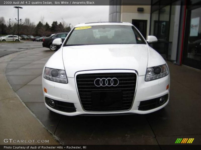 Ibis White / Amaretto/Black 2009 Audi A6 4.2 quattro Sedan
