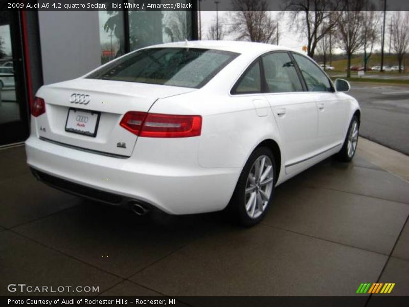 Ibis White / Amaretto/Black 2009 Audi A6 4.2 quattro Sedan