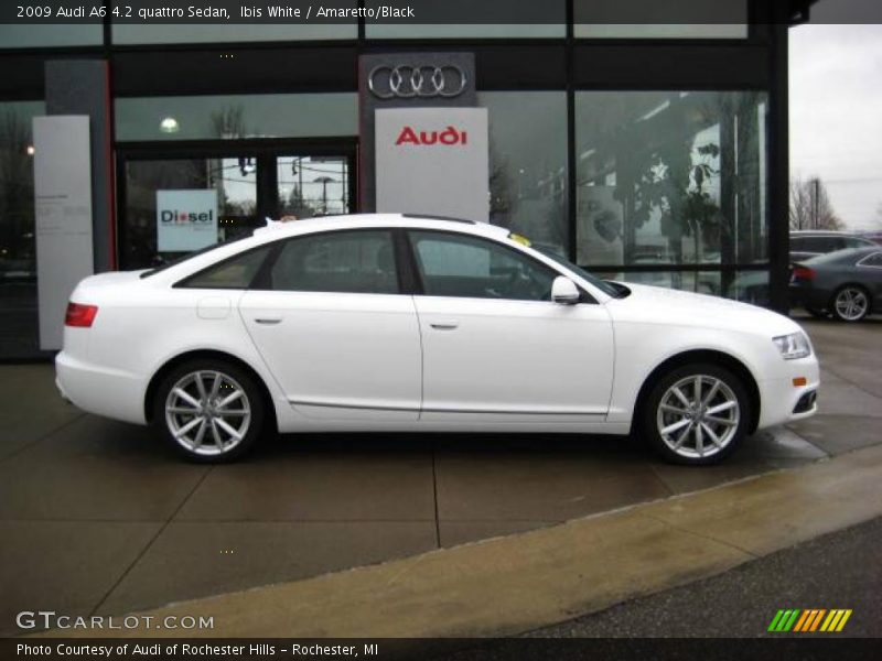 Ibis White / Amaretto/Black 2009 Audi A6 4.2 quattro Sedan