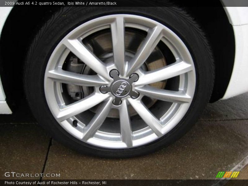 Ibis White / Amaretto/Black 2009 Audi A6 4.2 quattro Sedan