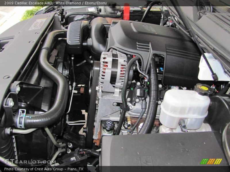 White Diamond / Ebony/Ebony 2009 Cadillac Escalade AWD