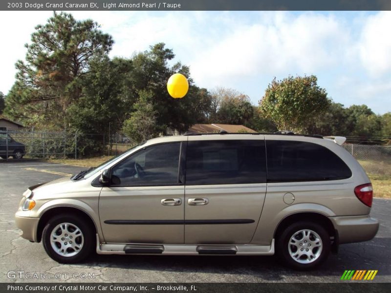 Light Almond Pearl / Taupe 2003 Dodge Grand Caravan EX