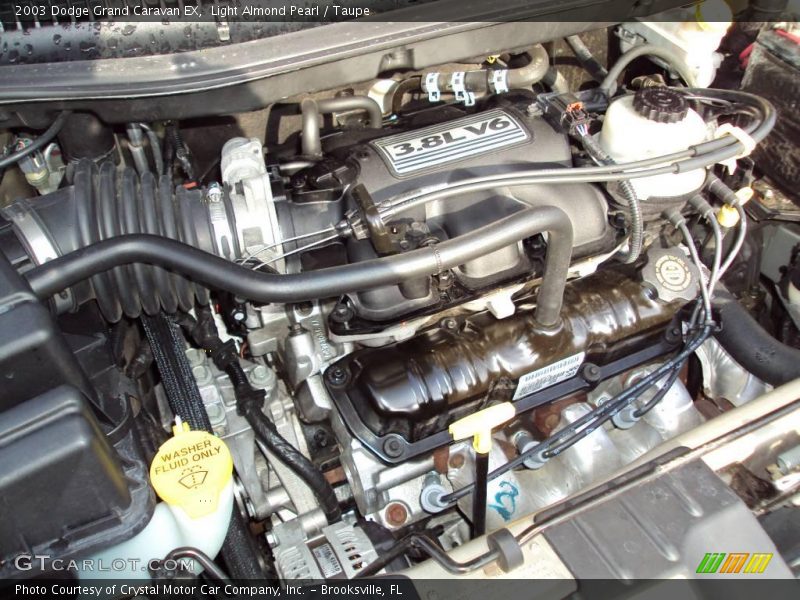Light Almond Pearl / Taupe 2003 Dodge Grand Caravan EX