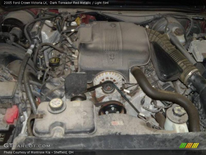 Dark Toreador Red Metallic / Light Flint 2005 Ford Crown Victoria LX