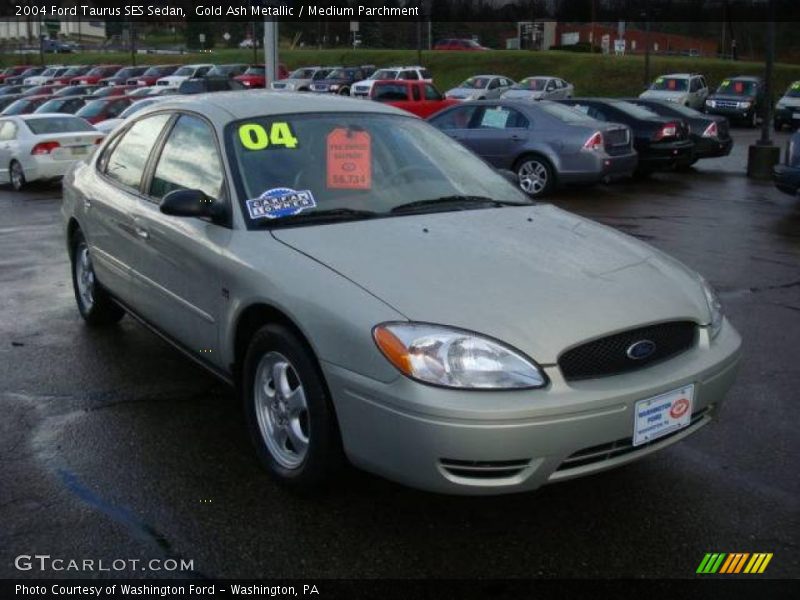 Gold Ash Metallic / Medium Parchment 2004 Ford Taurus SES Sedan