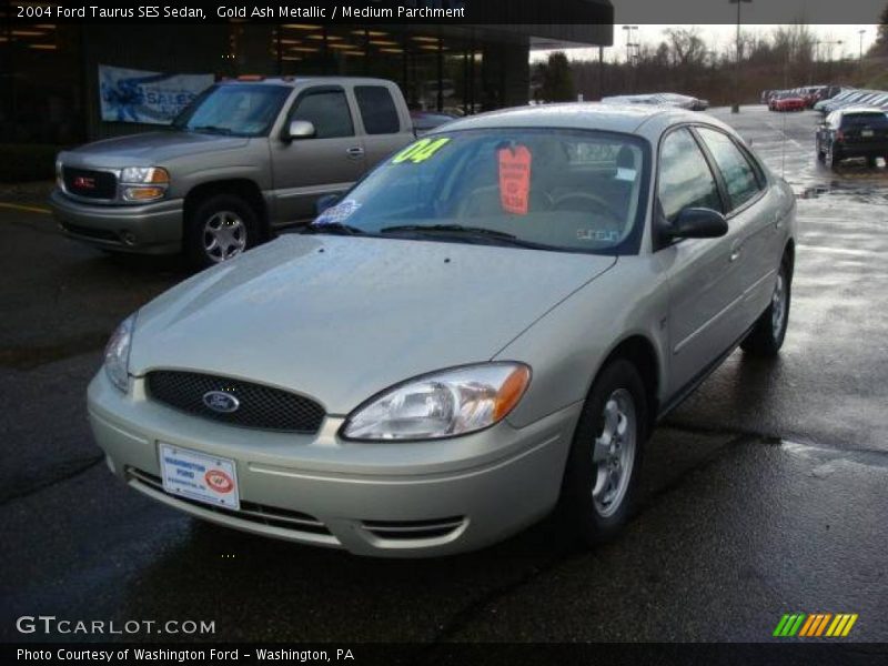 Gold Ash Metallic / Medium Parchment 2004 Ford Taurus SES Sedan