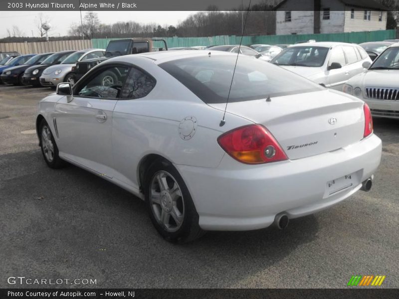 Alpine White / Black 2003 Hyundai Tiburon