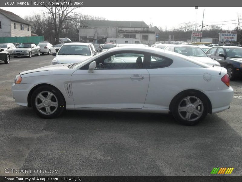 Alpine White / Black 2003 Hyundai Tiburon