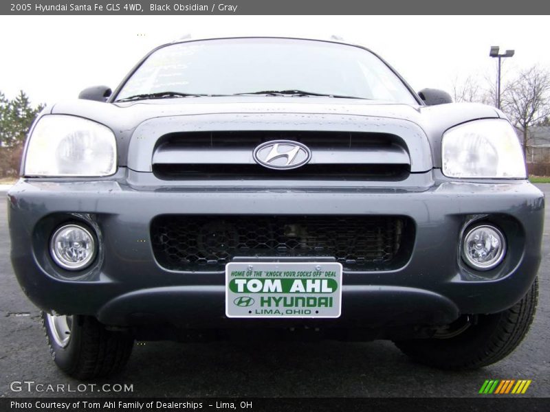 Black Obsidian / Gray 2005 Hyundai Santa Fe GLS 4WD