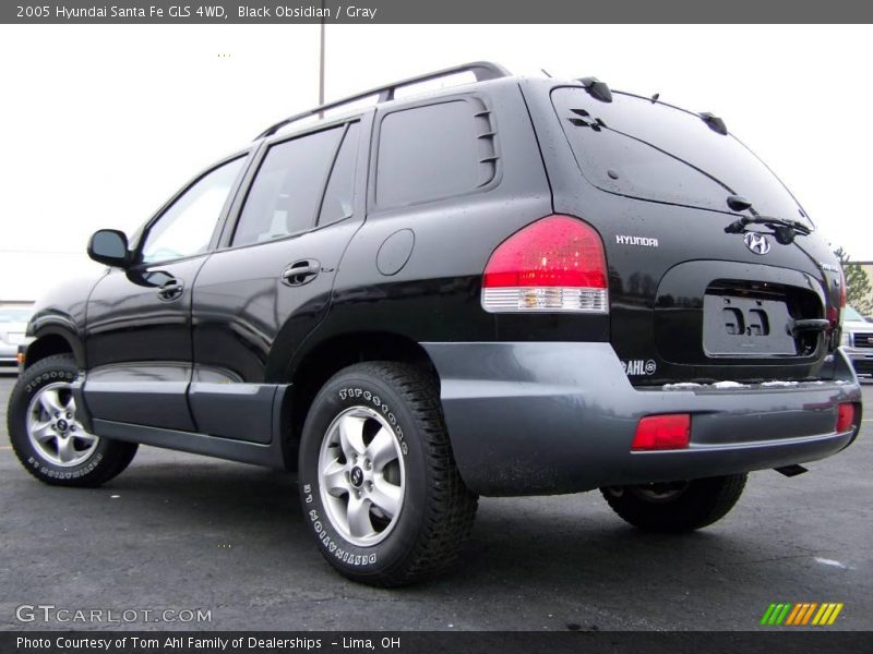 Black Obsidian / Gray 2005 Hyundai Santa Fe GLS 4WD