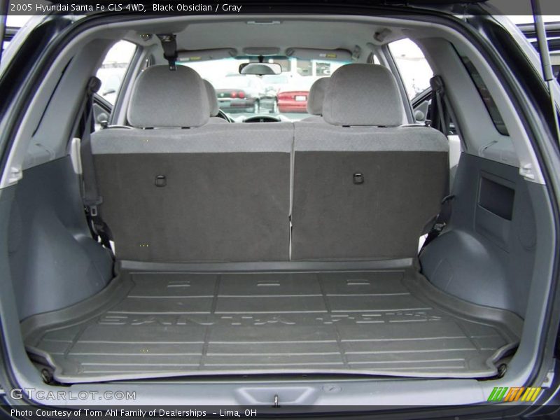 Black Obsidian / Gray 2005 Hyundai Santa Fe GLS 4WD