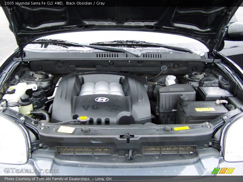 Black Obsidian / Gray 2005 Hyundai Santa Fe GLS 4WD